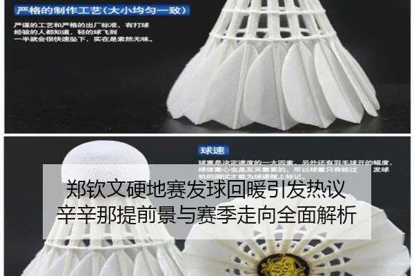 郑钦文硬地赛发球回暖引发热议 辛辛那提前景与赛季走向全面解析